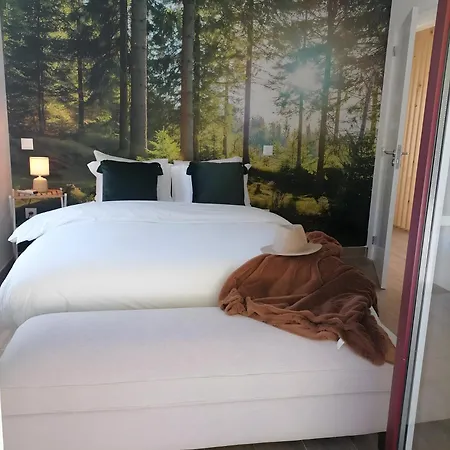 Casa Aurora Holiday home Campo do Geres